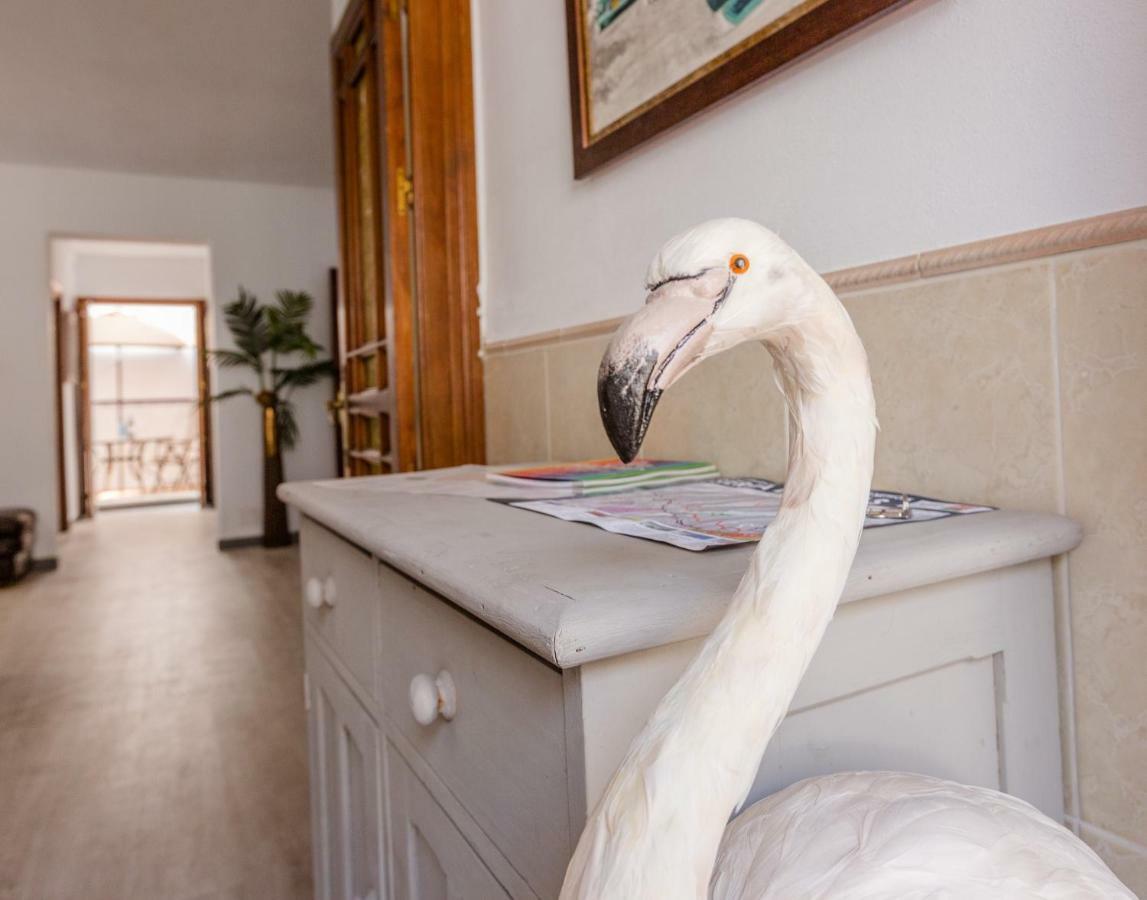 Alhaurin Old Town, Casa Flamingo, 2 Bed Apartment 阿尔豪林格朗德 外观 照片